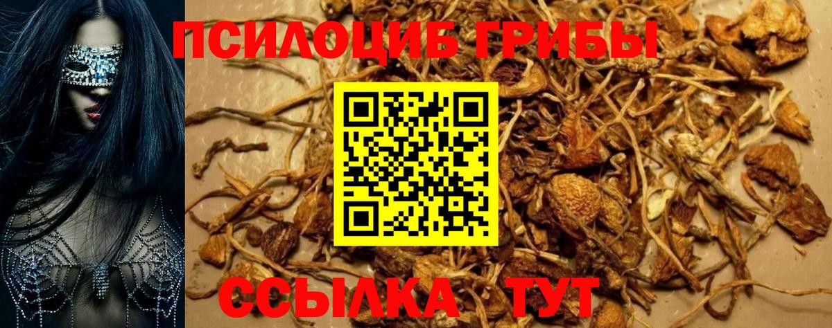 Галлюциногенные грибы прущие грибы  Вход с VPN  Краснодар 